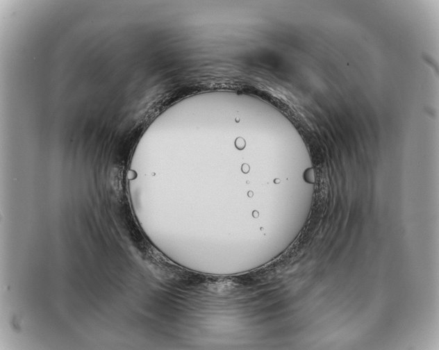 X0000091530695200708170950