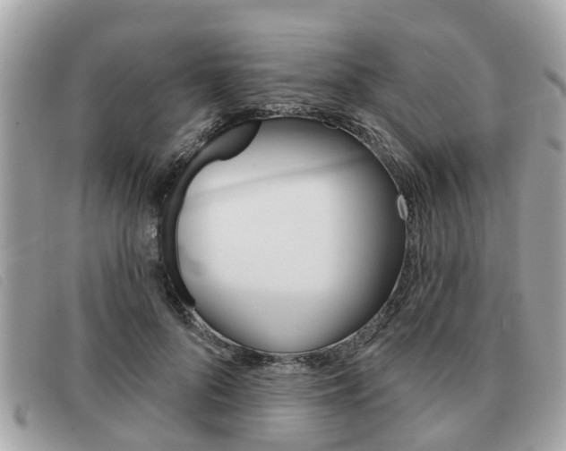 X0000091530696200708170950