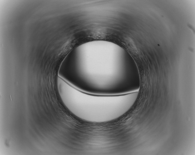 X0000091530697200708170950