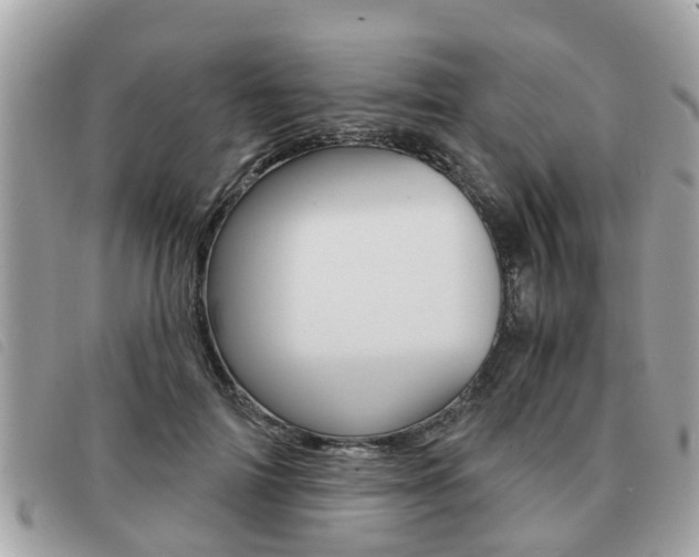 X0000091530698200708170950