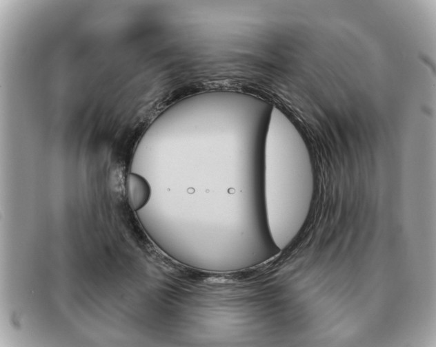 X0000091530699200708170950