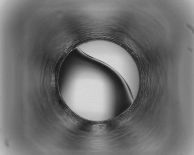 X0000091530700200708170950