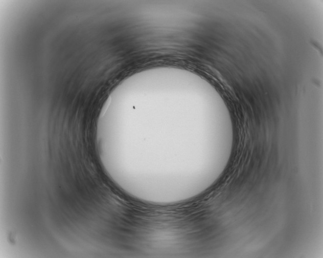 X0000091530701200708170950