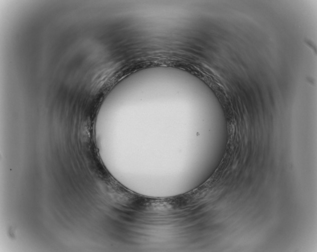 X0000091530702200708170950