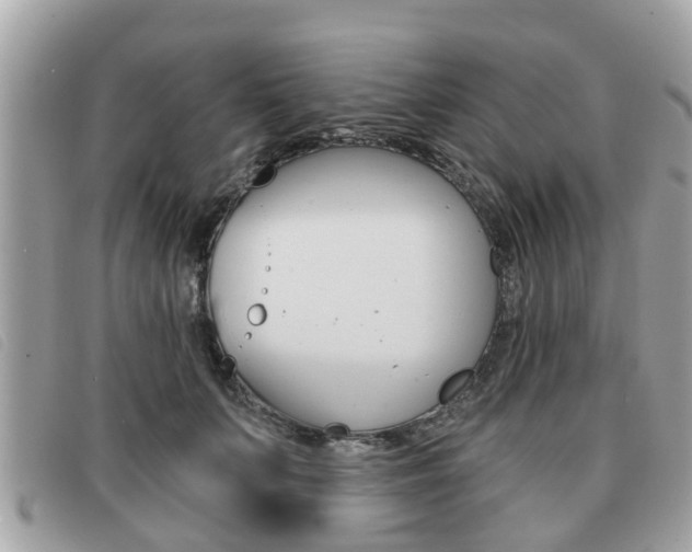 X0000091530703200708170950