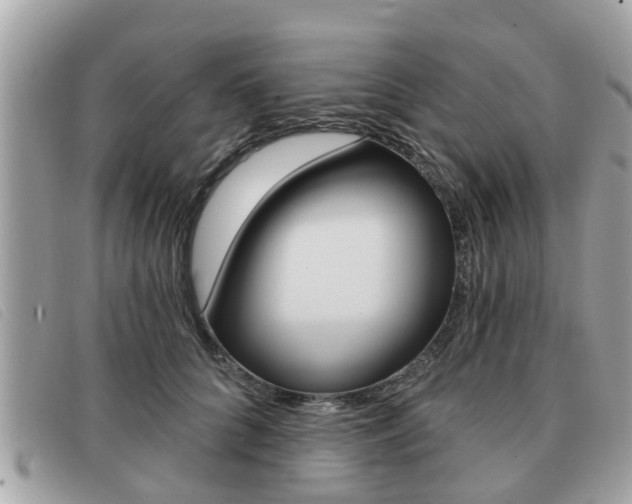 X0000091530704200708170950