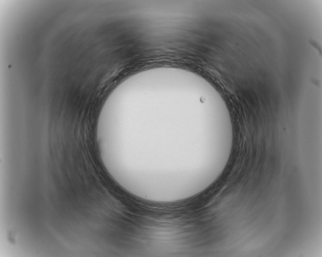 X0000091530705200708170950
