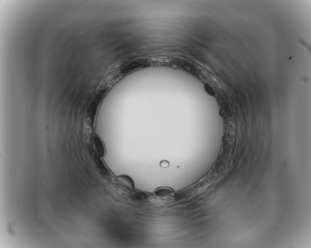 X0000091530707200708170950