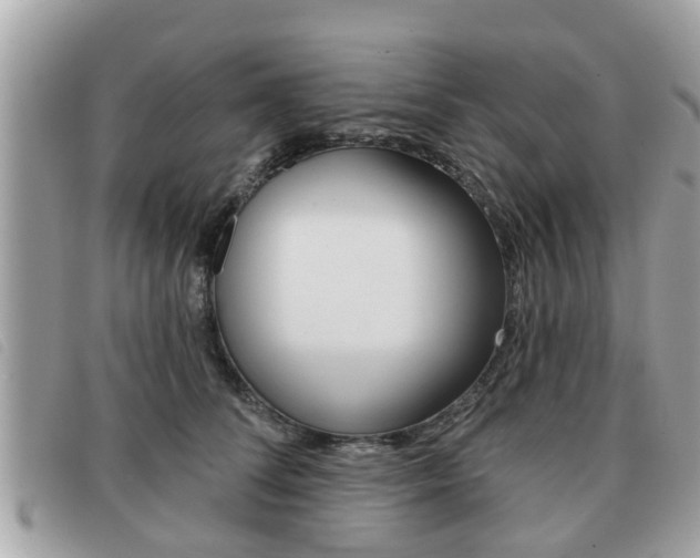 X0000091530708200708170950
