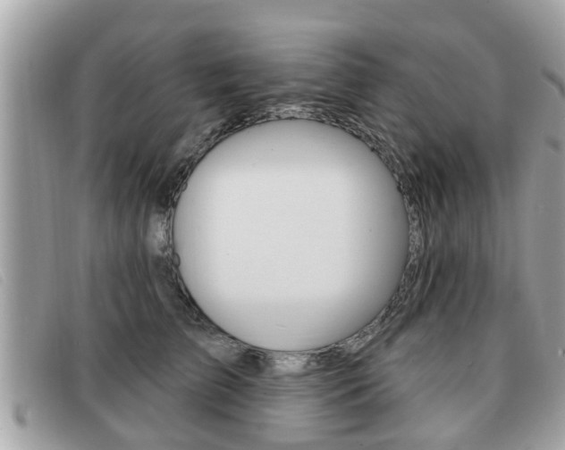 X0000091530709200708170950