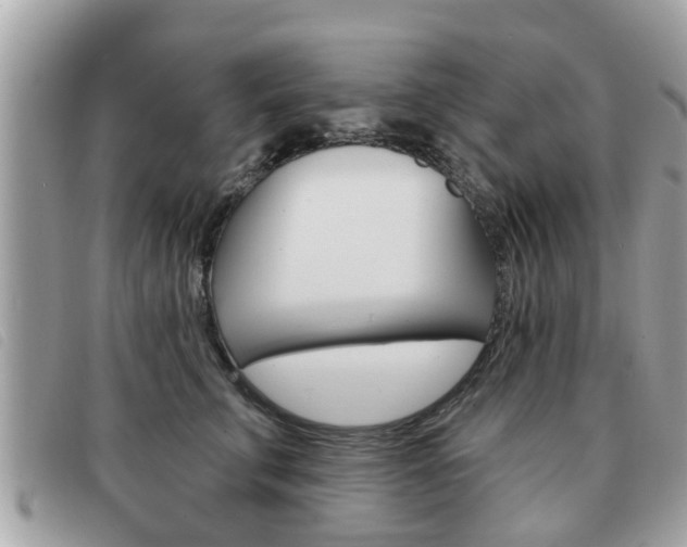 X0000091530711200708170950