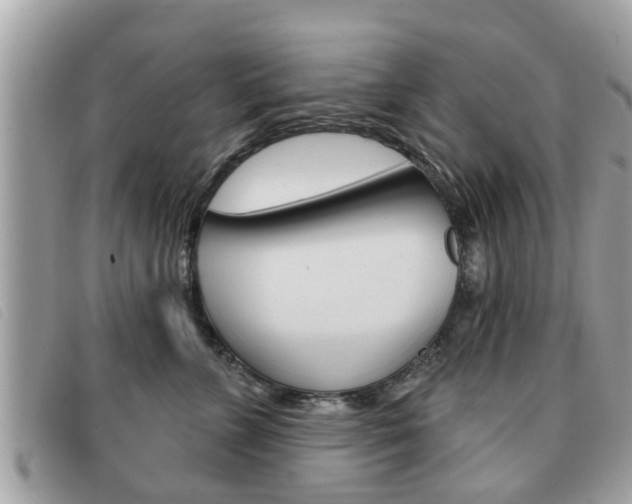 X0000091530715200708170950