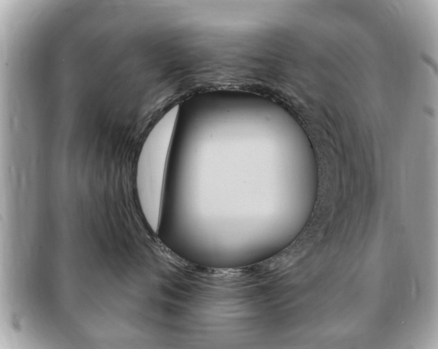 X0000091530720200708170950
