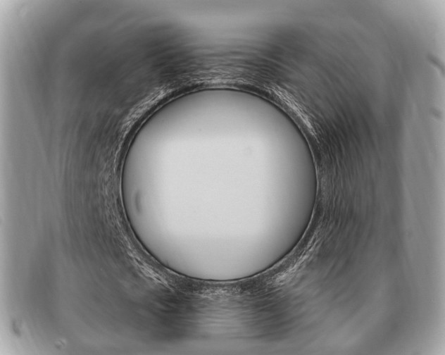 X0000091530721200708170949