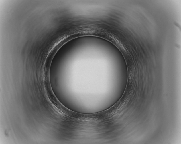 X0000091530722200708170949