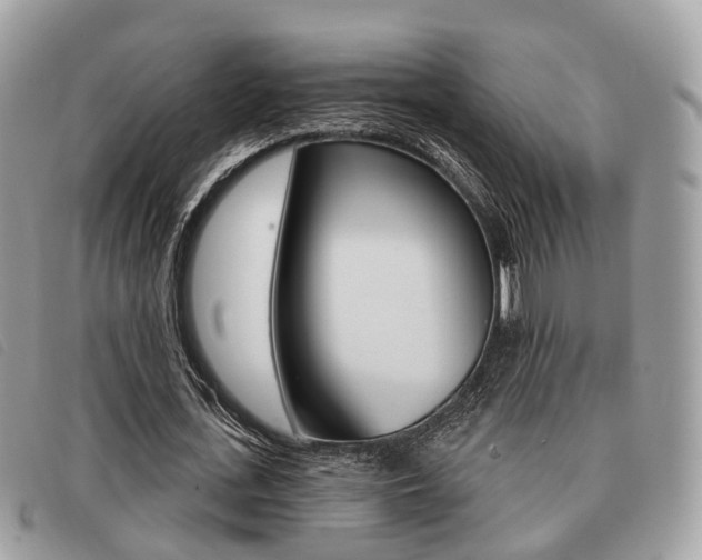 X0000091530723200708170949