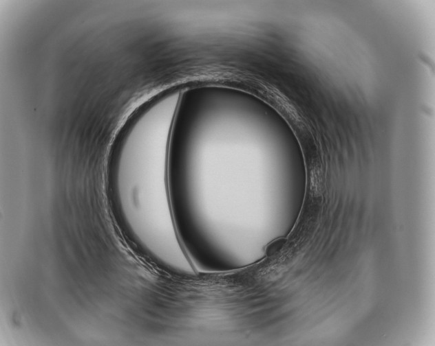X0000091530724200708170949