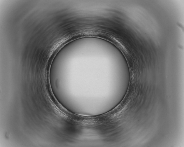 X0000091530725200708170949