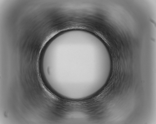 X0000091530726200708170949