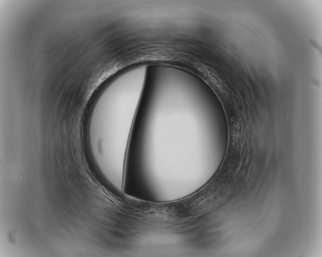 X0000091530727200708170949
