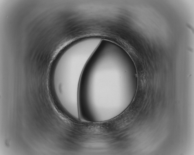 X0000091530728200708170949