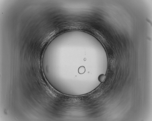 X0000091530729200708170949