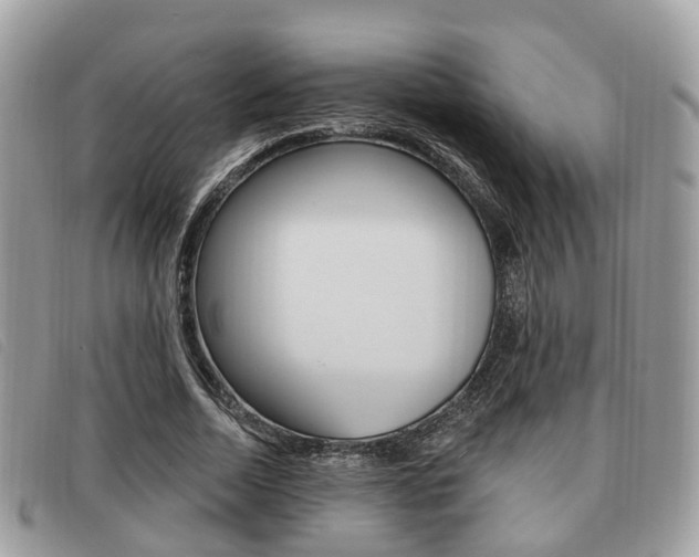 X0000091530730200708170949