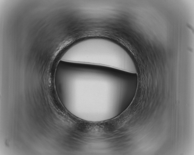X0000091530731200708170949