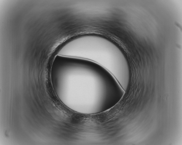 X0000091530732200708170949