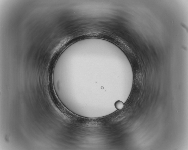 X0000091530734200708170949