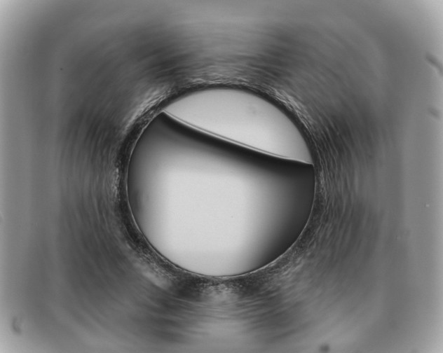 X0000091530735200708170949