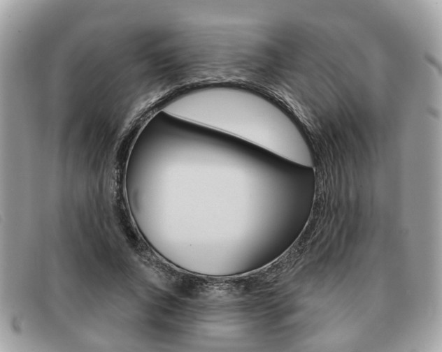 X0000091530736200708170949
