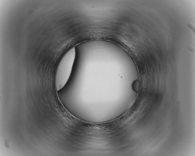 X0000091530737200708170949