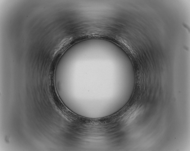 X0000091530738200708170949