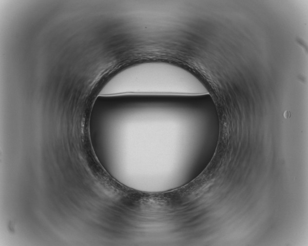 X0000091530739200708170949