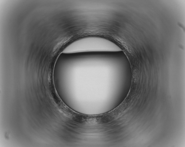 X0000091530740200708170949