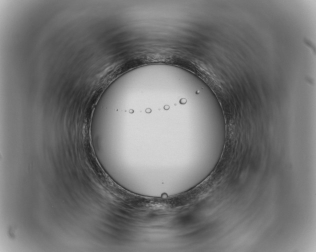 X0000091530741200708170949