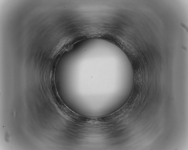 X0000091530742200708170949