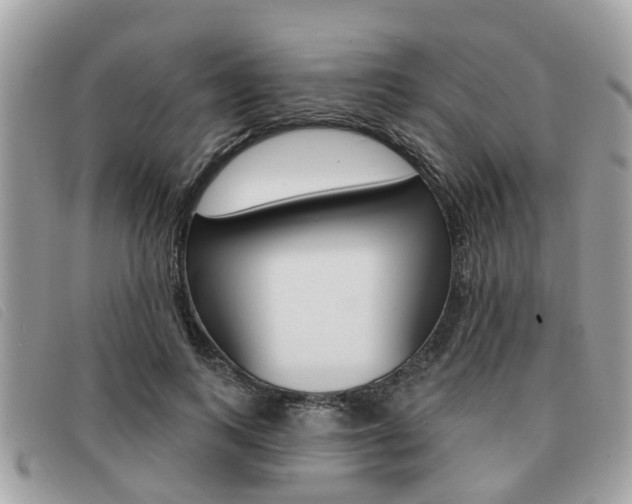 X0000091530743200708170949