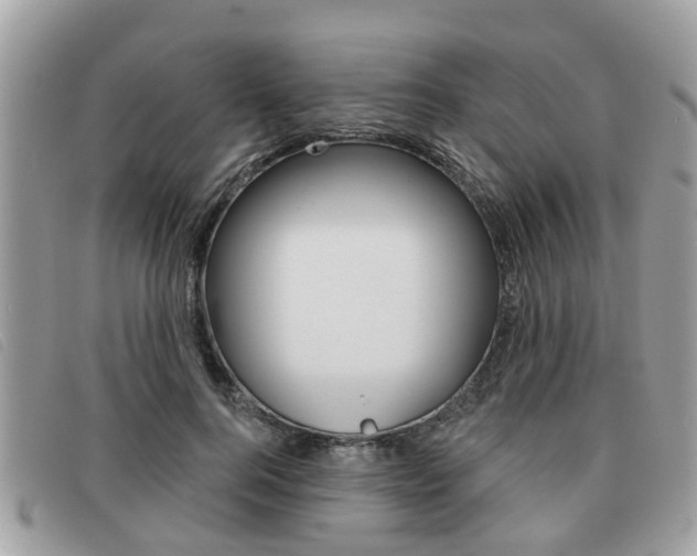 X0000091530744200708170949