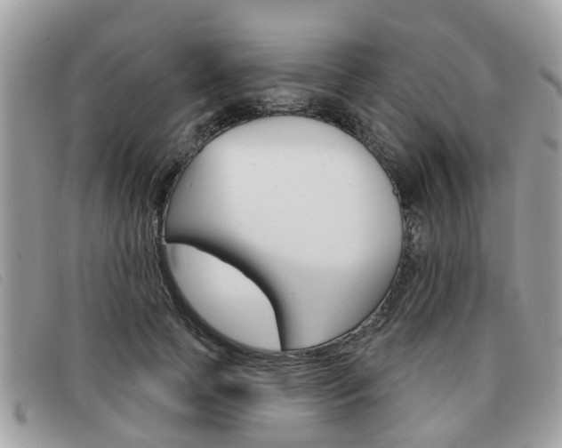 X0000091530745200708170949