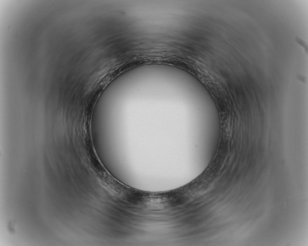 X0000091530746200708170949