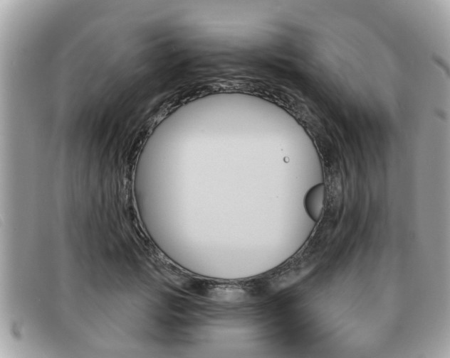 X0000091530749200708170949
