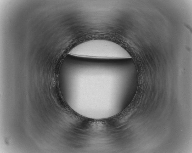 X0000091530751200708170949