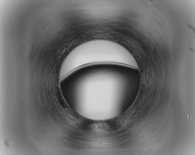 X0000091530752200708170949
