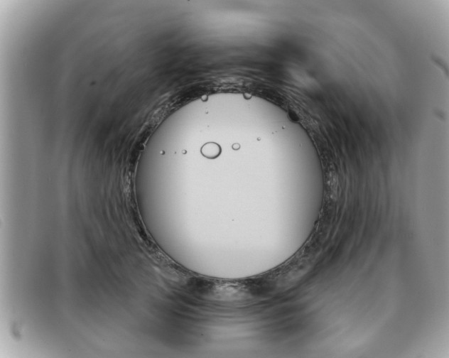 X0000091530753200708170949
