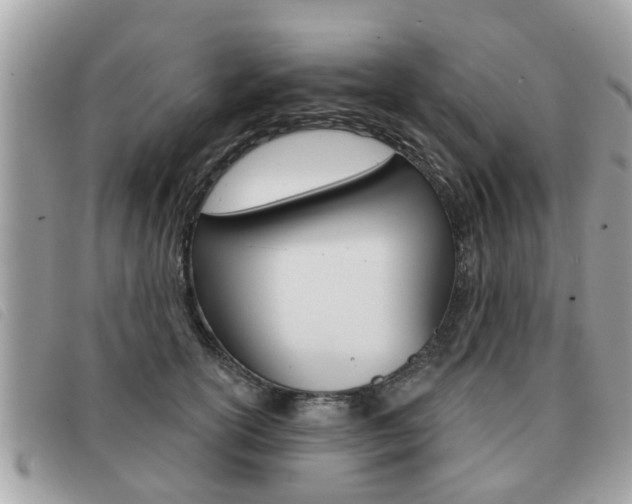 X0000091530754200708170949