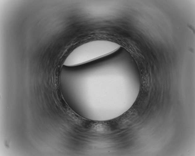 X0000091530755200708170949