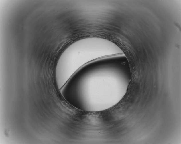 X0000091530756200708170949