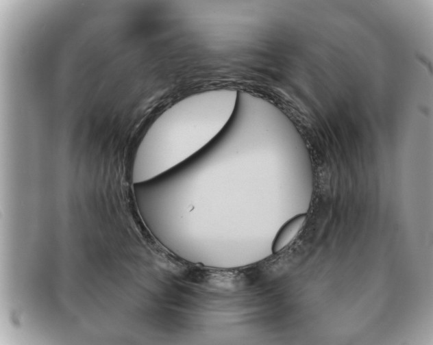 X0000091530757200708170949